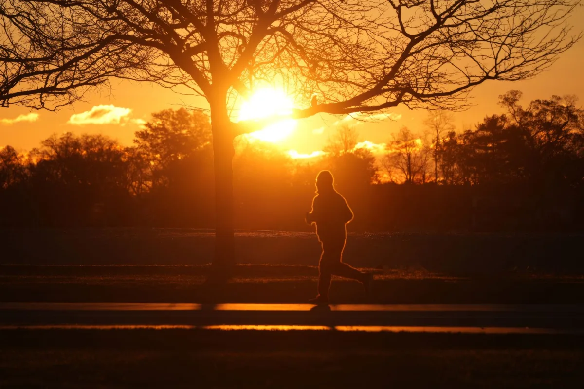 Jogger silhouetted in a park at sunset